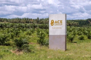 96ACE logo